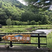 文字通り広大な尾瀬国立公園を凝縮、美しい自然と四季を気軽に体験出来る