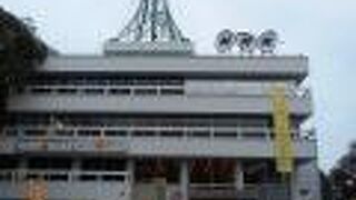 たまごから生まれたへんな動物「どーもくん」