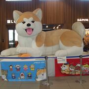 秋田犬の巨大なぬいぐるみ