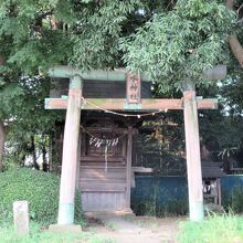 簡単な鳥居と、小さな祠があるだけ