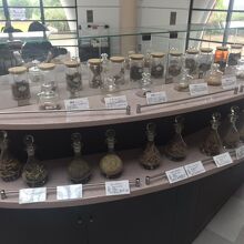 色々な香料が並んでます