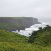 海岸線と湿地帯の見える展望台