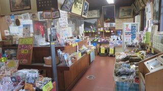 茅葺屋根の駅舎の中にあります