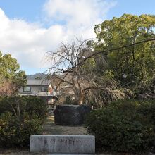 立ち入り自由の庭