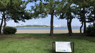 夏は一日中遊べます。