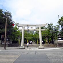 大鳥居 / Grand Torii gate