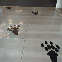 フロントへの案内足