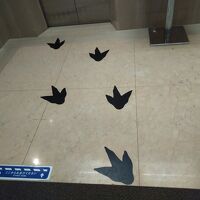 エレベーターへの案内足