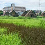 雨の後はぐちゃぐちゃになります