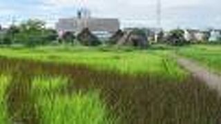 雨の後はぐちゃぐちゃになります