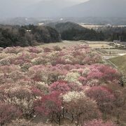 桃源郷でした。