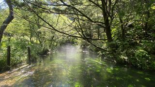 めちゃくちゃ透き通った清水川