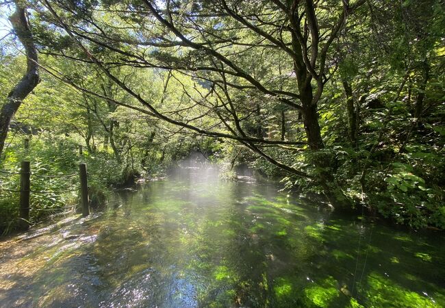 めちゃくちゃ透き通った清水川