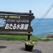 充実した水族館