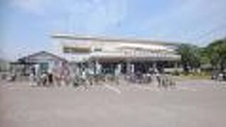 伯方の塩を使ったソフトクリームがありました。