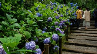 １度は訪れてみては