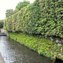 石垣に苔と生垣が覆う社家