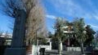 三井家の守護神には、旧三越池袋店の青銅製のライオン像がいます