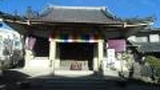 三代将軍家光の病を治した長命水の井戸は現存