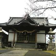丸亀駅近く、桜や末社などひと通り見どころの揃った神社