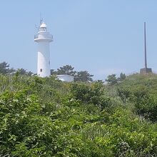 葦毛崎展望台脇を通る青森県道1号八戸階上線から見た鮫角灯台。