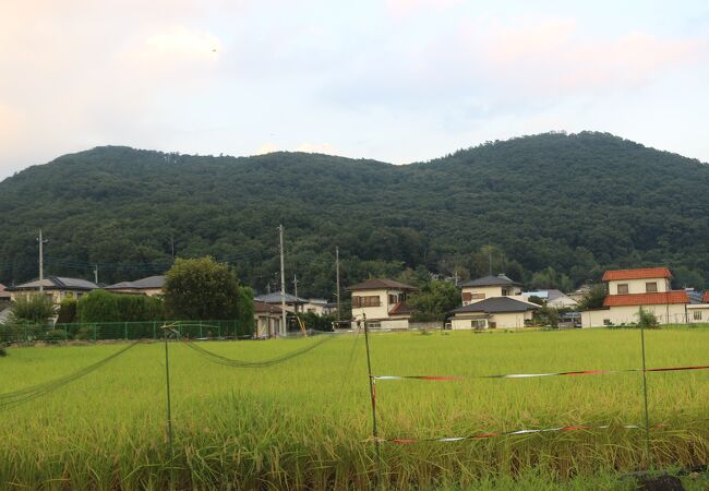 湯村山