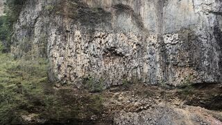 見応えあります。