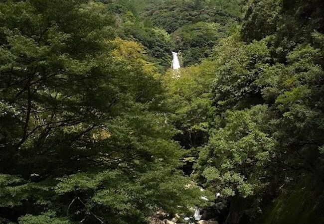 かなり山奥にある滝