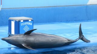 観光循環バスの１日乗車券で割引あり