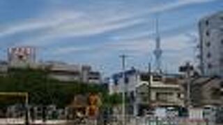 公園越しのスカイツリー