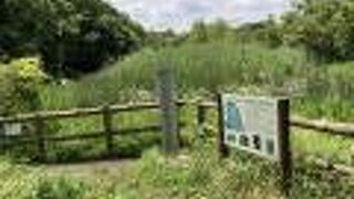 何と天然記念物ですって！