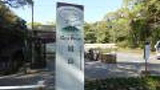 観光バスツアーで行きました