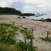 佐島マリーナ手前に島では無いけど、天神島と笠島がある