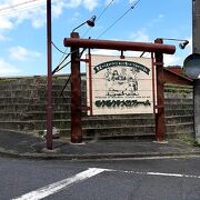 近郊の観光客が多く来場してました、、、