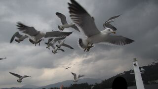 子供が一番喜んだ