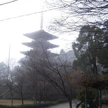 成相寺バス停から