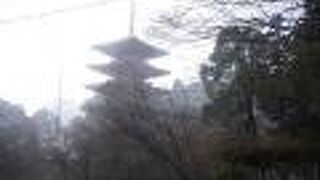 傘松公園や成相寺