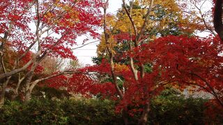 美しい庭園