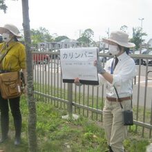色々と巡りながら、スタッフの方が丁寧に解説して下さいます。