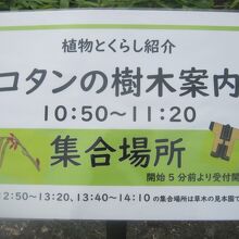 樹木案内は時間帯により集合場所・内容が違うので要注意。