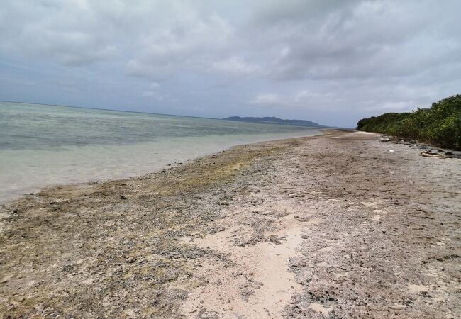 岩だらけの浜