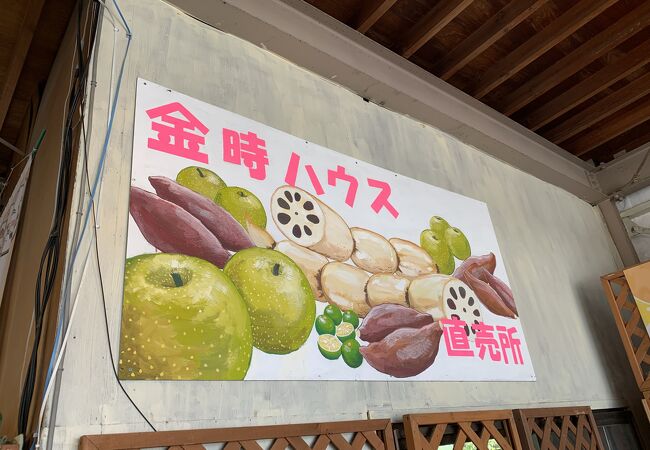 鳴門のお土産屋 直売所 特産品 クチコミ人気ランキングtop4 フォートラベル 徳島県