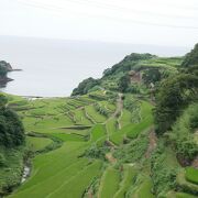 海とのコントラストが