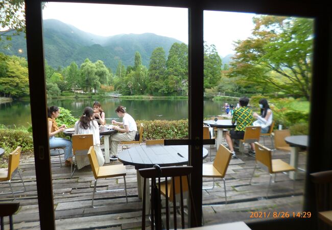 Cafe La Ruche クチコミ アクセス 営業時間 湯布院 由布院温泉 フォートラベル Cafe La Ruche クチコミ アクセス 営業時間 湯布院 由布院温泉 フォートラベル