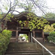 東京城探訪・板橋散策で乗蓮寺に行きました