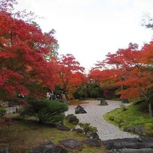 石庭の紅葉