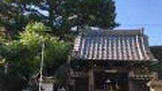 緑の芝生鮮やかな