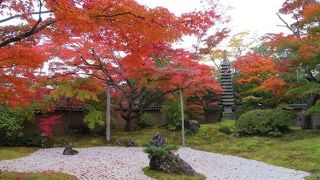 息を&#21534;むほど美しい石庭「雲外天地の庭」と紅葉