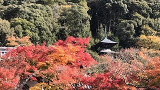 紅葉に見事さに圧倒されてしまう永観堂