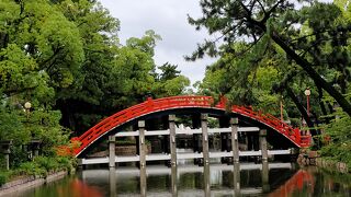 大阪に五社ある一宮神社の中で一番見応えある人気の神社